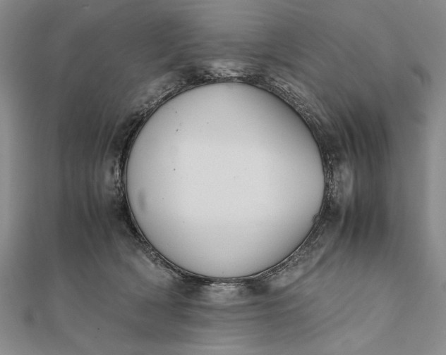 X0000111840418200908061257