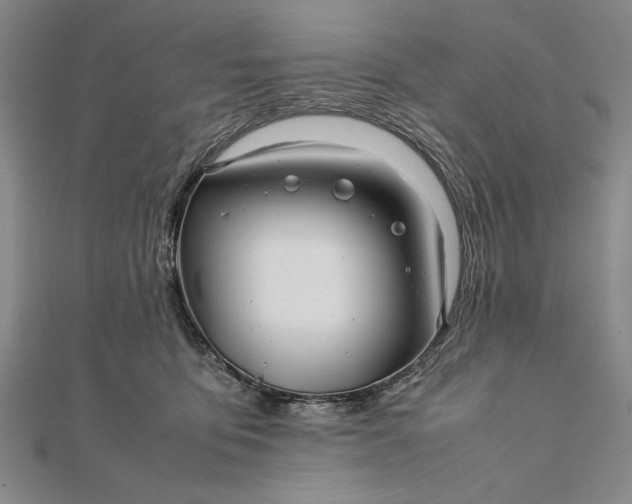 X0000111840419200908061257