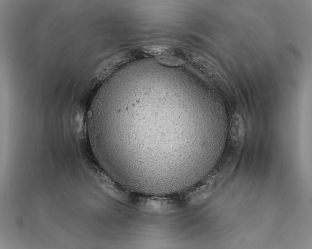 X0000111840420200908061257