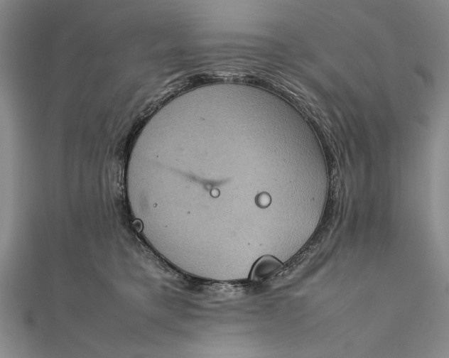 X0000111840421200908061257