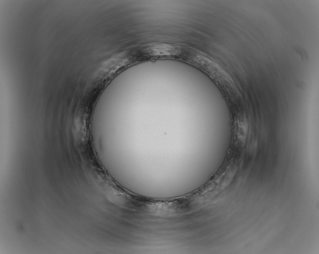 X0000111840422200908061257