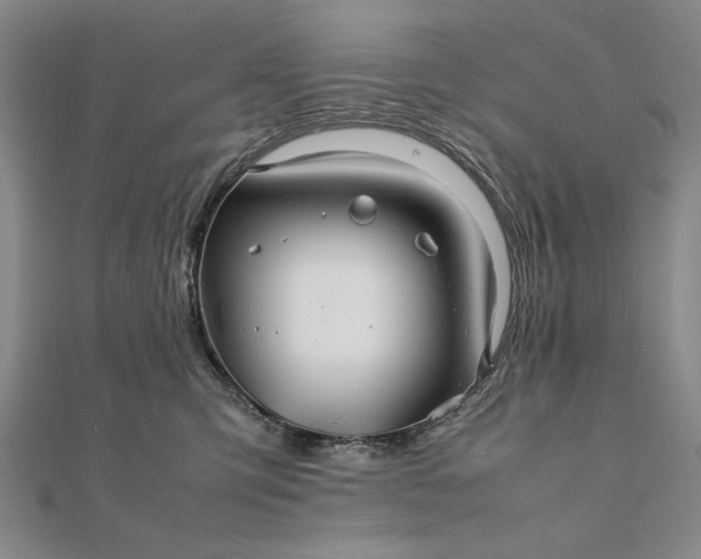 X0000111840423200908061257