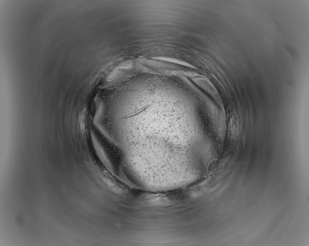 X0000111840424200908061257