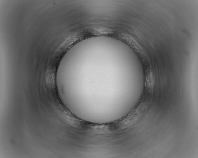 X0000111840426200908061257