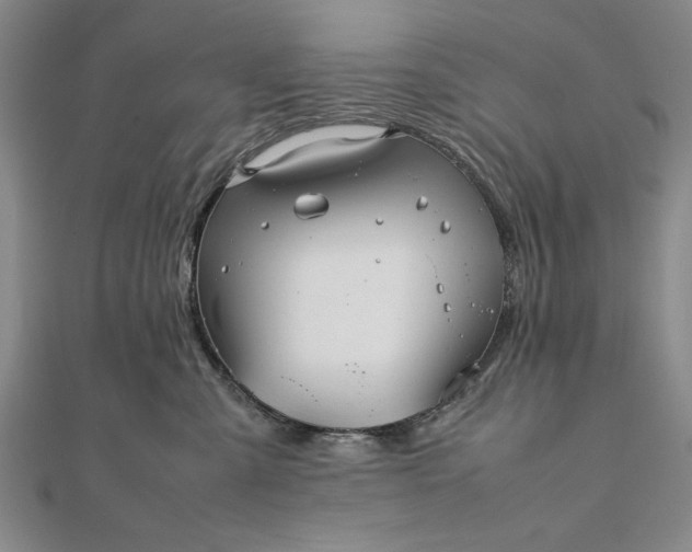 X0000111840427200908061257