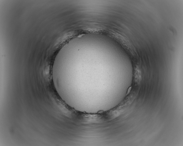 X0000111840428200908061257