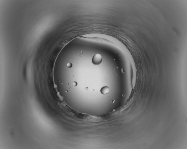 X0000111840429200908061257