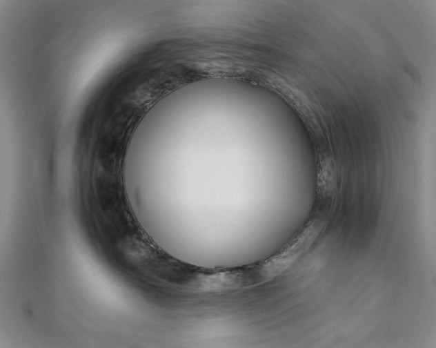 X0000111840430200908061257