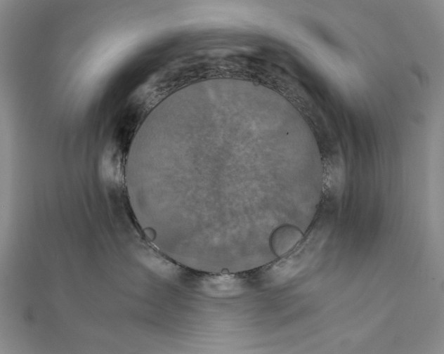 X0000111840431200908061257