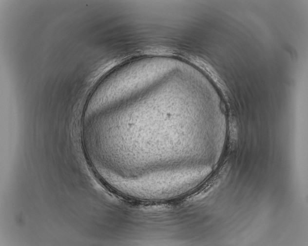 X0000111840433200908061257