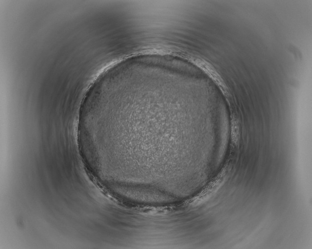 X0000111840434200908061257