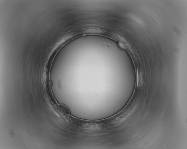 X0000111840435200908061257