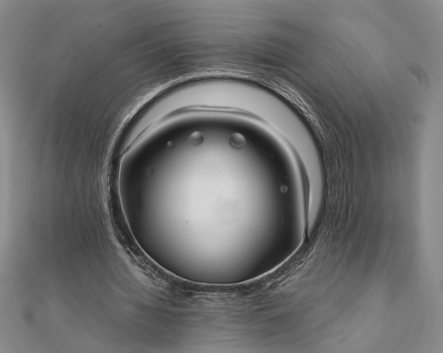 X0000111840436200908061257