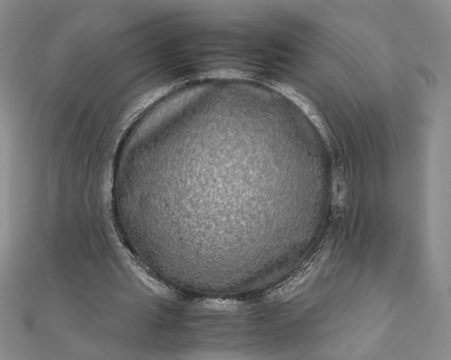 X0000111840437200908061257