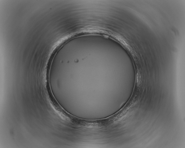 X0000111840438200908061257