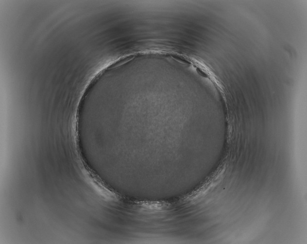 X0000111840439200908061257