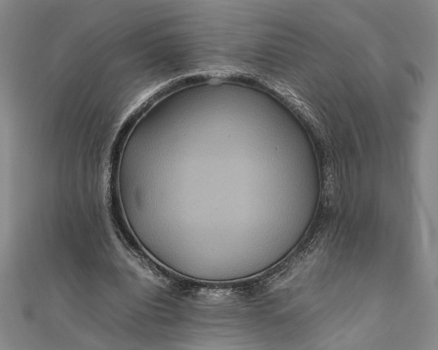 X0000111840440200908061257