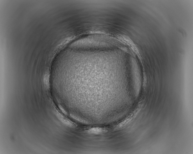 X0000111840441200908061257