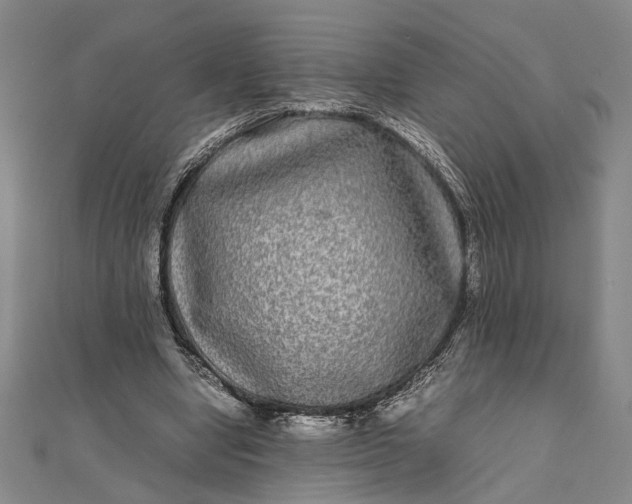 X0000111840442200908061257