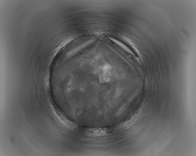 X0000111840443200908061257