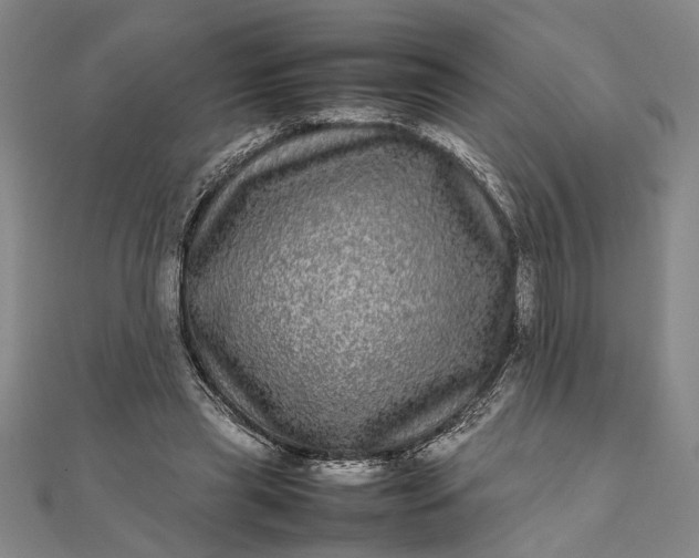 X0000111840445200908061257