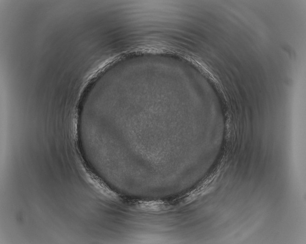 X0000111840446200908061257