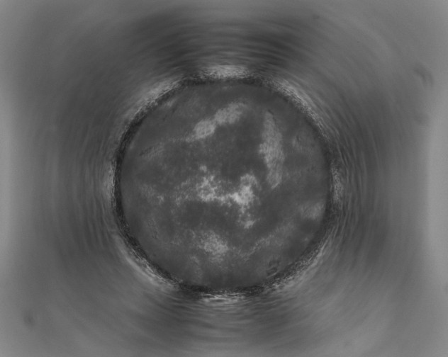 X0000111840447200908061257