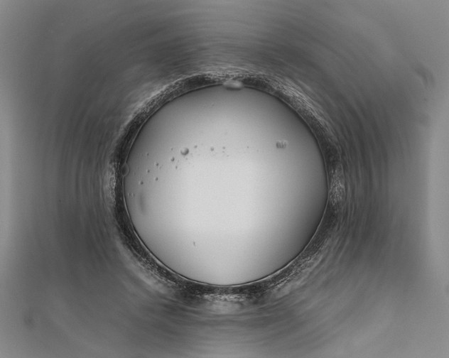 X0000111840448200908061257