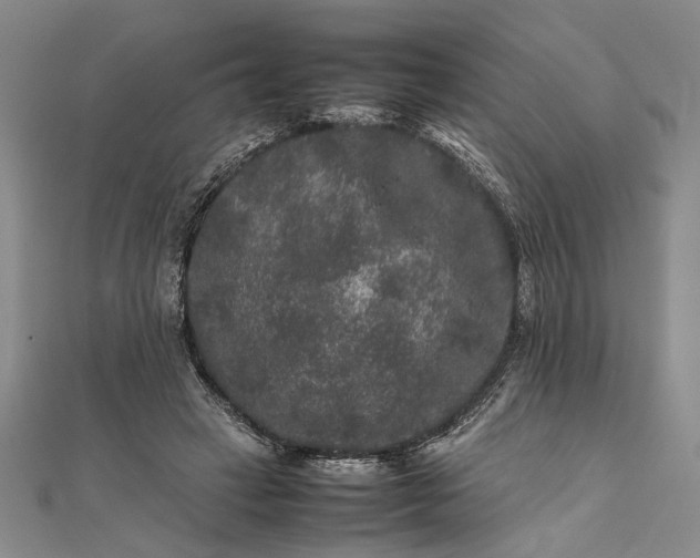 X0000111840449200908061257