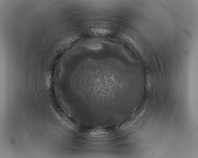 X0000111840451200908061257