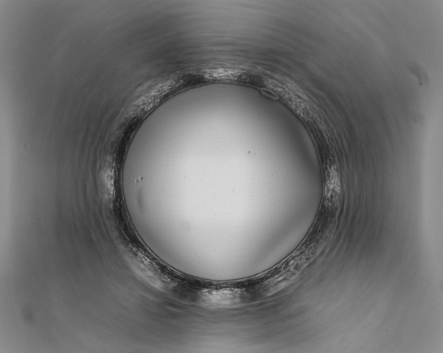 X0000111840452200908061257