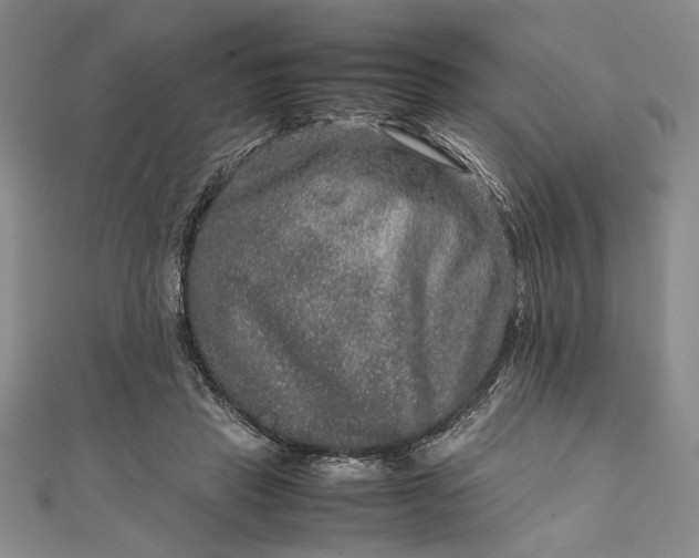 X0000111840453200908061257