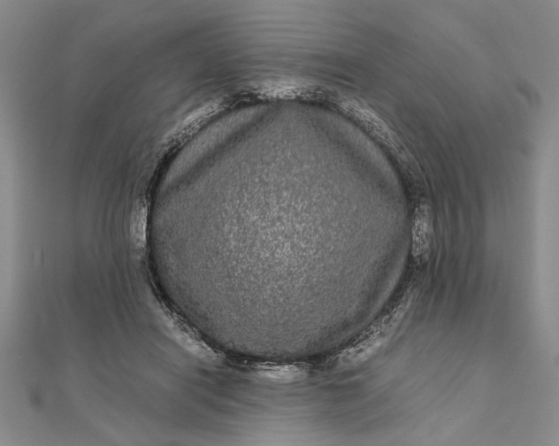 X0000111840454200908061257