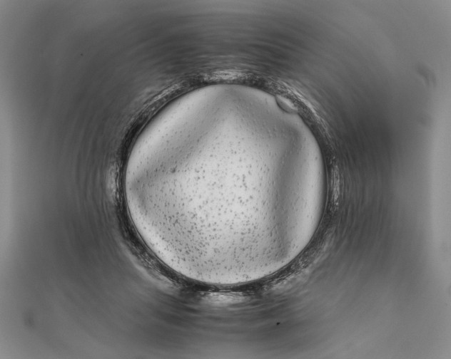 X0000111840455200908061257