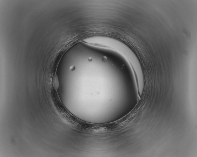 X0000111840456200908061257