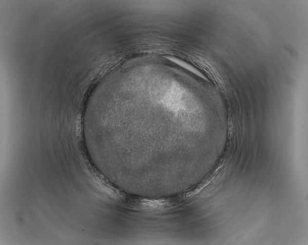 X0000111840457200908061257