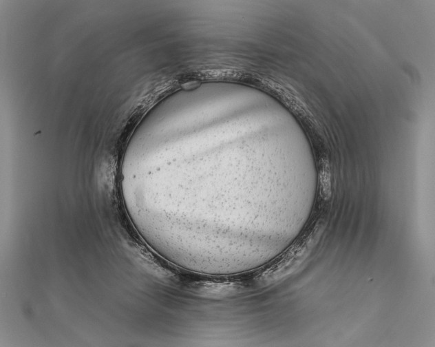 X0000111840458200908061257