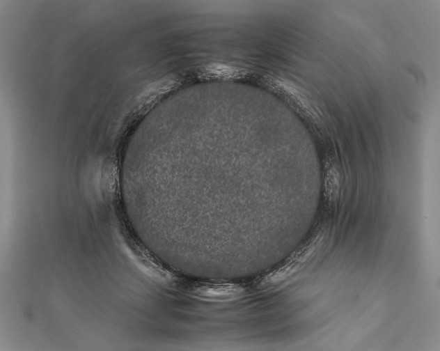 X0000111840459200908061257