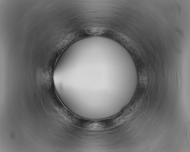 X0000111840460200908061257