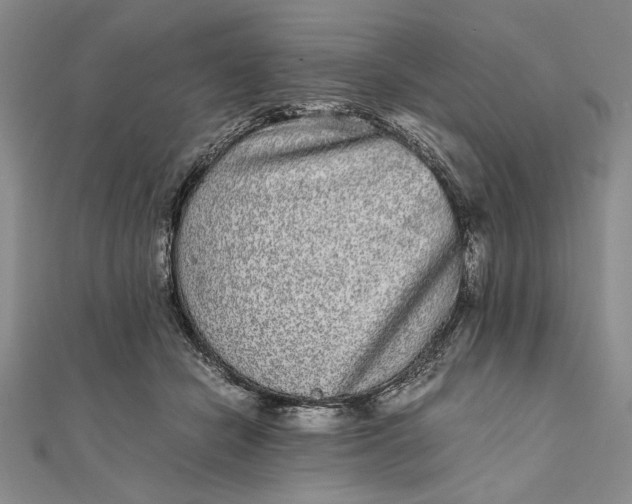 X0000111840462200908061257