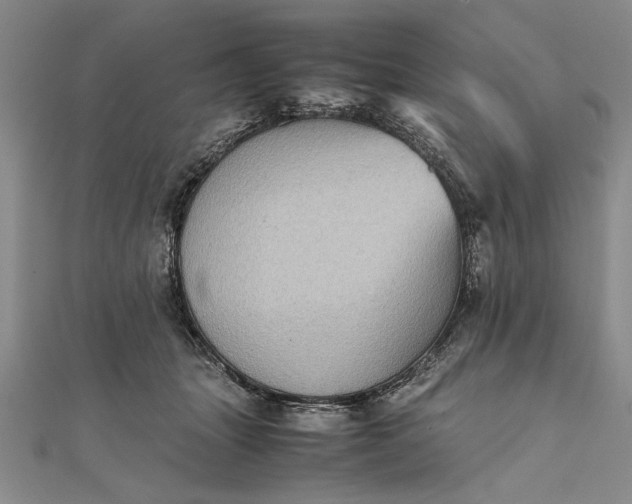 X0000111840463200908061257