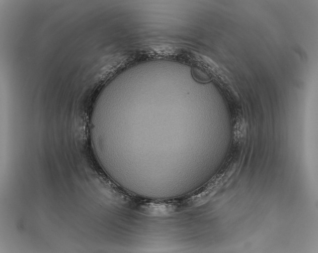 X0000111840464200908061257