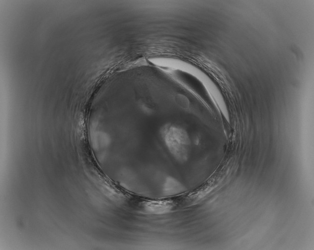 X0000111840465200908061257