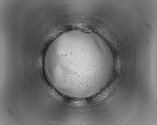 X0000111840466200908061257