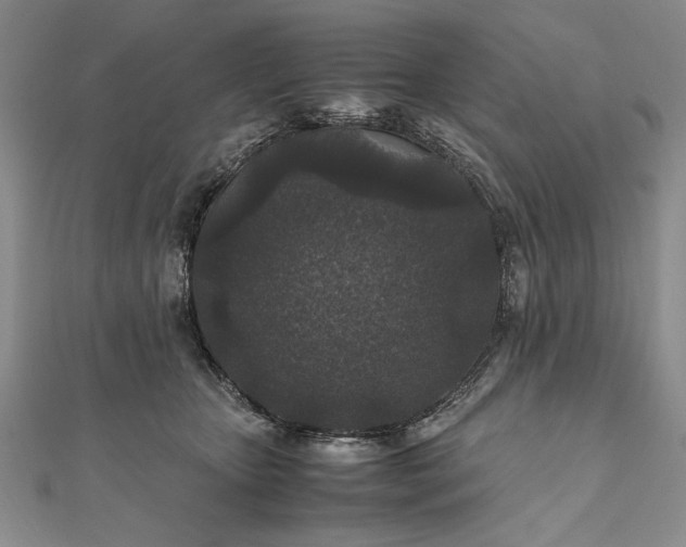 X0000111840467200908061257