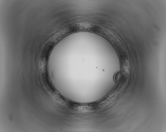 X0000111840468200908061257