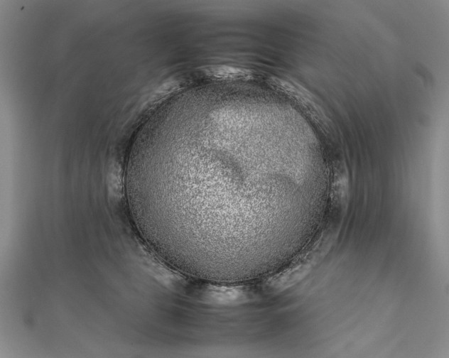 X0000111840469200908061257