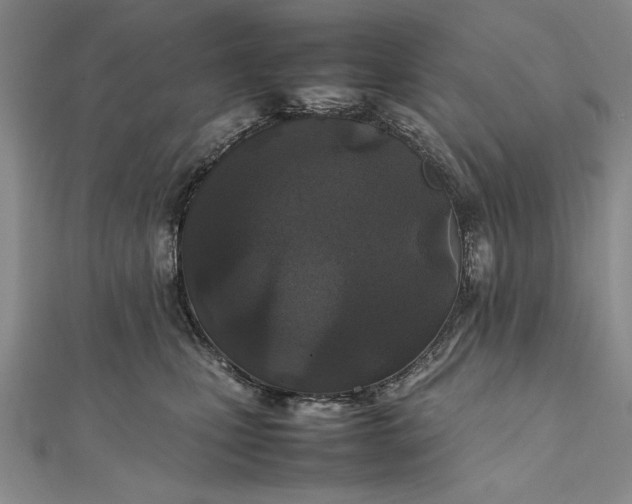 X0000111840471200908061257