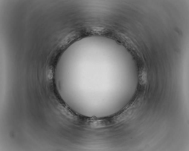 X0000111840472200908061257