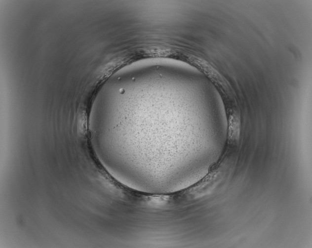 X0000111840474200908061257